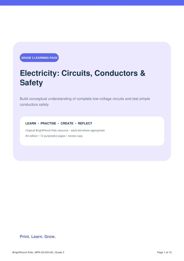 Electricity: Circuits, Conductors & Safety free printable worksheet preview